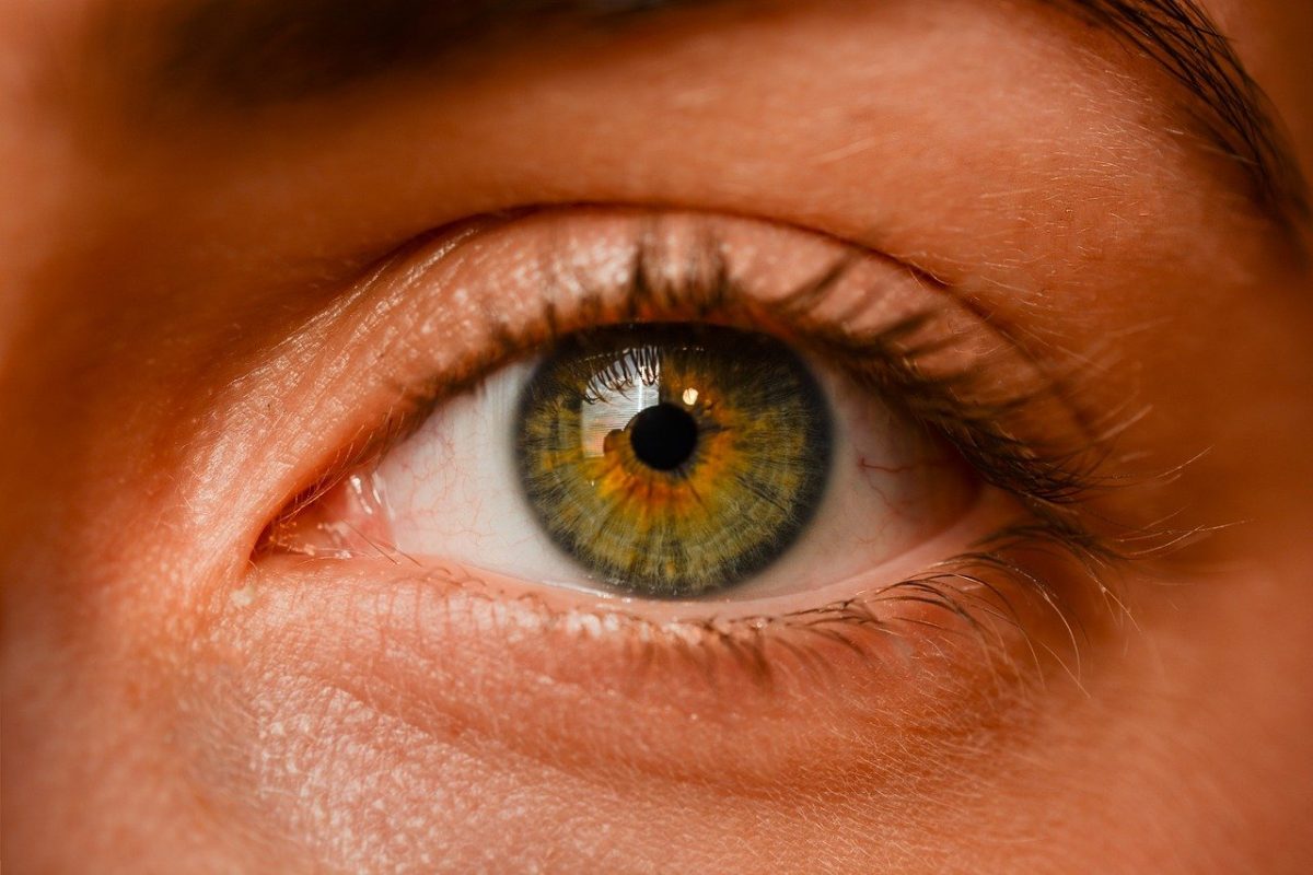 Oczy to wyjątkowy organ. To właśnie dzięki nim widzimy.